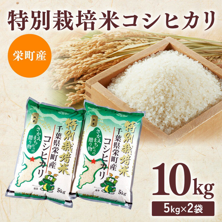 令和7年産米（数量限定）栄町産 特別栽培米 コシヒカリ10kg（5kg袋×2） ちば緑耕舎｜令和7年産 白米 精米 お米 コメ ごはん お弁当 おにぎり 人気 おすすめ ※沖縄・離島への配送不可 ※2025年10月上旬頃より順次発送予定 26-1