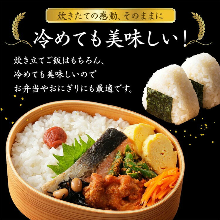 【ふるさと納税】令和7年産米（数量限定）栄町産 特別栽培米 コシヒカリ10kg（5kg袋×2） ちば緑耕舎｜令和7年産 白米 精米 お米 コメ ごはん お弁当 おにぎり 人気 おすすめ ※沖縄・離島への配送不可 ※2025年10月上旬頃より順次発送予定 26-1 - 画像3
