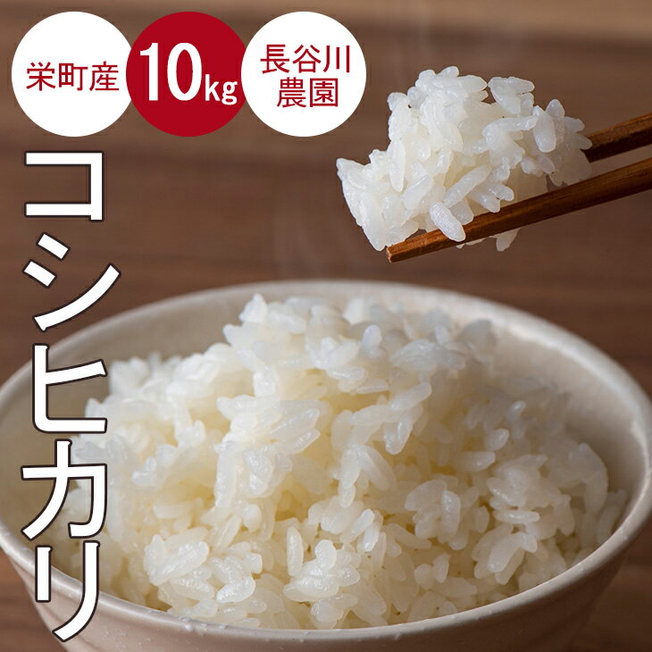 令和7年産米（数量限定）ちばエコ認定米 栄町産 コシヒカリ10kg（5kg袋×2） 長谷川農園｜令和7年産 白米 新米 精米 お米 コメ ごはん お弁当 おにぎり 人気 おすすめ ※沖縄・離島への配送不可 ※2025年10月下旬頃より順次発送予定 26-2