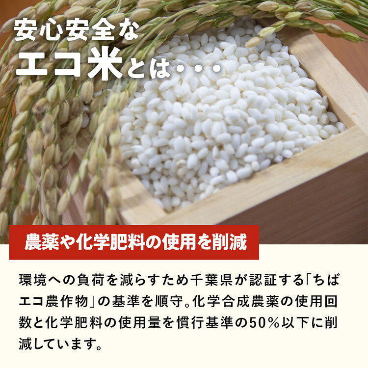【ふるさと納税】【選べる内容量】令和7年産米（数量限定）ちばエコ認定米 栄町産 コシヒカリ 長谷川農園｜令和7年産 白米 精米 お米 コメ ごはん お弁当 おにぎり 人気 おすすめ ※沖縄・離島への配送不可 12-46 20-2 - 画像2