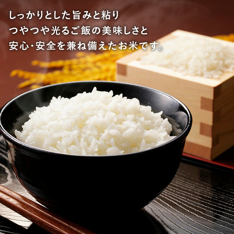 【ふるさと納税】【選べる内容量】令和7年産米（数量限定）ちばエコ認定米 栄町産 コシヒカリ 長谷川農園｜令和7年産 白米 精米 お米 コメ ごはん お弁当 おにぎり 人気 おすすめ ※沖縄・離島への配送不可 12-46 20-2 - 画像3