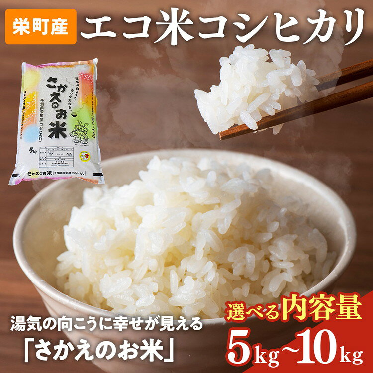 【選べる内容量】令和7年産米（数量限定）ちばエコ認定米 栄町産 コシヒカリ 長谷川農園｜令和7年産 白米 精米 お米 コメ ごはん お弁当 おにぎり 人気 おすすめ ※沖縄・離島への配送不可 12-46 20-2