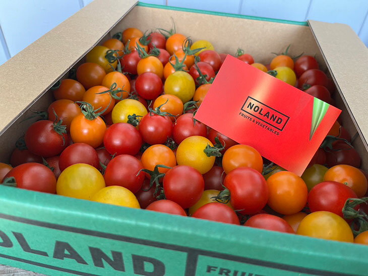 13-6 NOLAND 栄町産ミニトマト3種2kg ※沖縄・離島への配送不可 ※2026年5月上旬～6月下旬頃に順次発送予定
