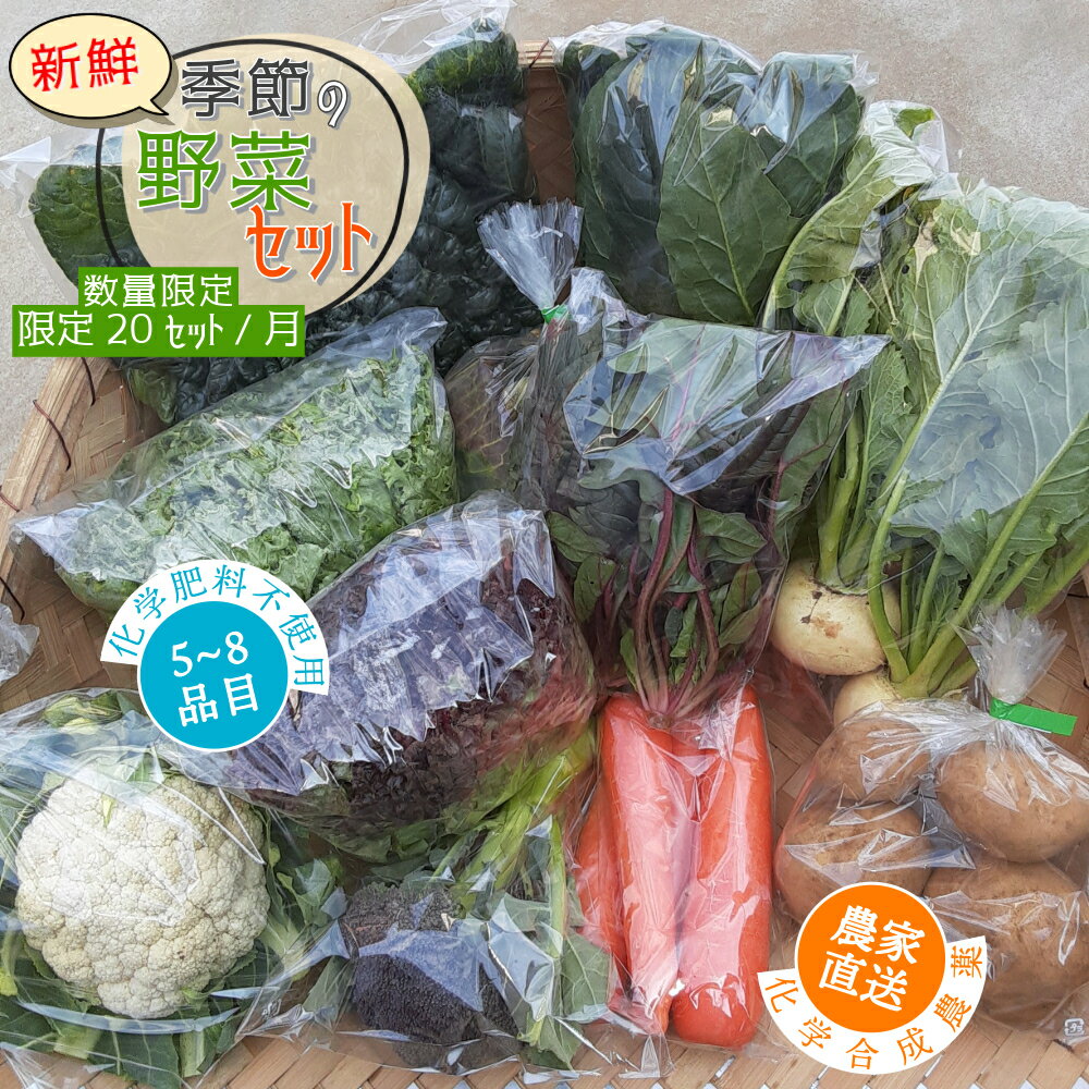 【数量限定】すが農園の季節の野菜セット（5～8品目）｜千葉県神崎町ふるさと納税[023-a001]