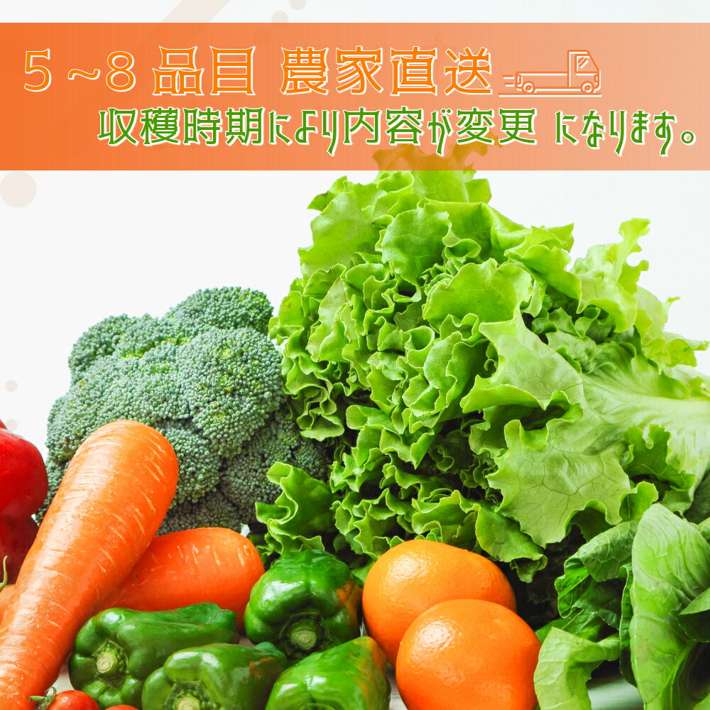 【ふるさと納税】【数量限定】すが農園の季節の野菜セット（5～8品目）｜千葉県神崎町ふるさと納税[023-a001] - 画像3