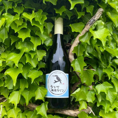 【ふるさと納税】【多古町醸造ワイン 2本セット】Goodness2021微発泡ロゼ・水色ラベル2020赤ワイン【配送不可地域：離島・沖縄県】【1300924】 サムネイル2