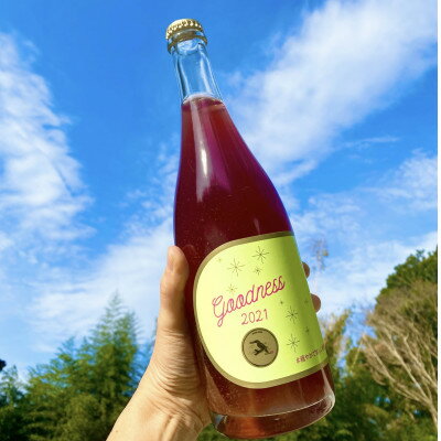 【ふるさと納税】【多古町醸造ワイン 2本セット】Goodness2021微発泡ロゼ・水色ラベル2020赤ワイン【配送不可地域：離島・沖縄県】【1300924】 サムネイル3