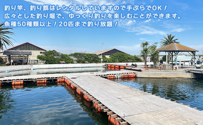 【ふるさと納税】釣り 千葉 九十九里 海づりセンター 半日券 男性用 体験 チケット 20匹釣り放題 海釣り 釣り堀 高級魚 旅行 アクティビティ アウトドア スポーツ ギフト券 券 体験チケット 釣り竿 釣竿 竿 釣り餌 レンタル 釣 千葉県 九十九里町 サムネイル3
