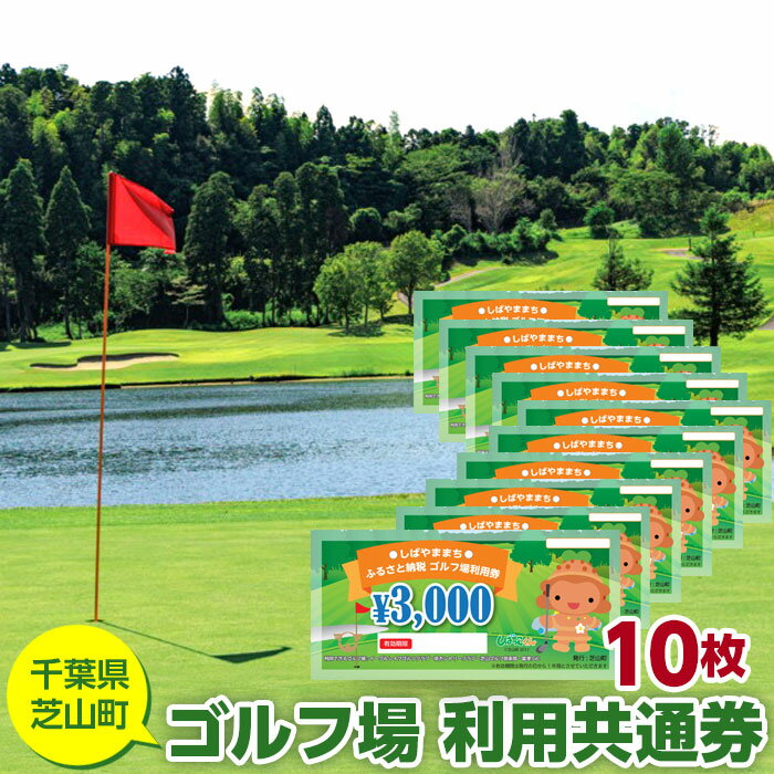 芝山町ゴルフ場利用券　10枚 ／ golf 芝山ゴルフ倶楽部 京カントリークラブ イーグルレイクゴルフクラブ 共通チケット アウトドア 施設利用券 スポーツ体験 大人の趣味 休日アクティビティ プレゼント用 実用的返礼券 趣味時間 送料無料 千葉県 No.010