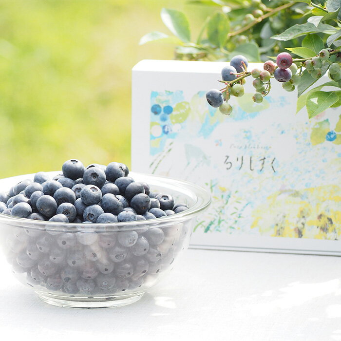 【ふるさと納税】No.028 ［栽培期間中農薬不使用］大粒冷凍ブルーベリー1kg「るりしずく」　千葉県芝山町産 ／ 新鮮 果物 果実 フルーツ ブランド 朝摘み 完熟 みずみずしい スムージー トッピング 朝食 おやつ デザート 間食 子供 贈答用 チャック付 送料無料 千葉県 サムネイル2