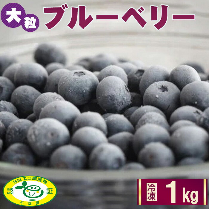 No.028 ［栽培期間中農薬不使用］大粒冷凍ブルーベリー1kg「るりしずく」　千葉県芝山町産 ／ 新鮮 果物 果実 フルーツ ブランド 朝摘み 完熟 みずみずしい スムージー トッピング 朝食 おやつ デザート 間食 子供 贈答用 チャック付 送料無料 千葉県
