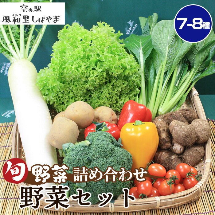 野菜セット（7～8種） ／ 野菜 季節の野菜 旬 新鮮 自慢の逸品 詰め合わせ 送料無料 千葉県 旬野菜 詰合せ 新鮮 食材 野菜詰め合わせ レシピ素材 サラダ用 炒め物用 朝食食材 家庭用食材 料理素材 産直 野菜ストック No.061