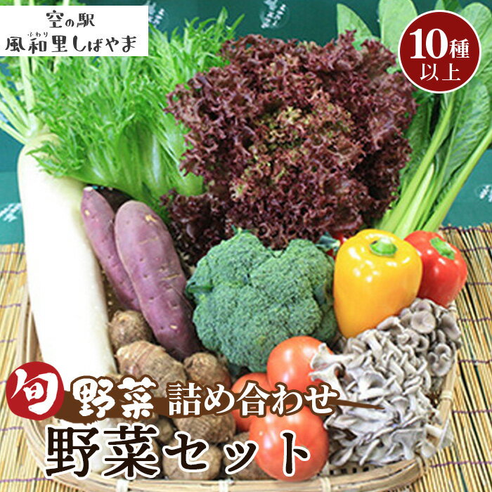 野菜セット（10種以上） ／ 野菜 季節の野菜 旬 新鮮 自慢の逸品 詰め合わせ 送料無料 千葉県 10種以上 新鮮 食材 野菜詰合せ サラダ用 炒め物用 家庭用食材 料理素材 朝食昼食夕食 食卓彩り 料理レシピ素材 冷蔵便 No.063