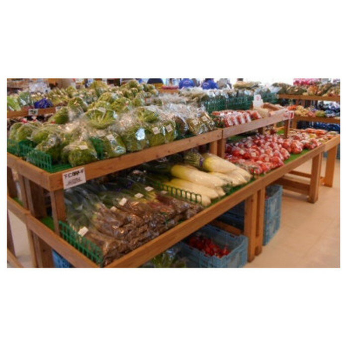 【ふるさと納税】 野菜セット（10種以上） ／ 野菜 季節の野菜 旬 新鮮 自慢の逸品 詰め合わせ 送料無料 千葉県 10種以上 新鮮 食材 野菜詰合せ サラダ用 炒め物用 家庭用食材 料理素材 朝食昼食夕食 食卓彩り 料理レシピ素材 冷蔵便 No.063 - 画像3