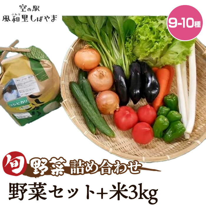 野菜セット（9～10種）+米3kg ／ 野菜 米 季節の野菜 旬 新鮮 コシヒカリ 精米 白米 自慢の逸品 送料無料 千葉県 No.071