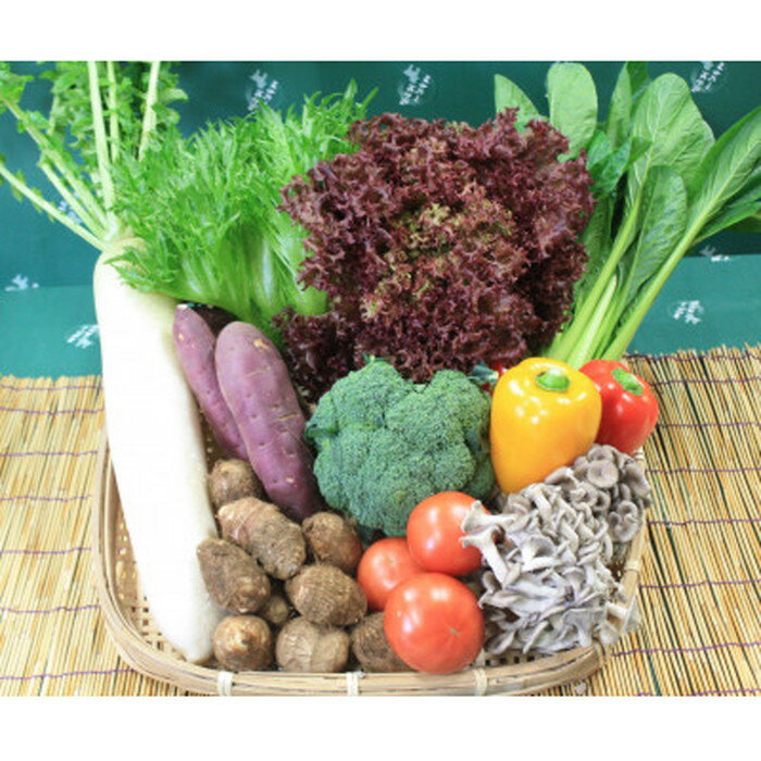 【ふるさと納税】 野菜セット（9～10種）+米3kg ／ 野菜 米 季節の野菜 旬 新鮮 コシヒカリ 精米 白米 自慢の逸品 送料無料 千葉県 No.071 - 画像2