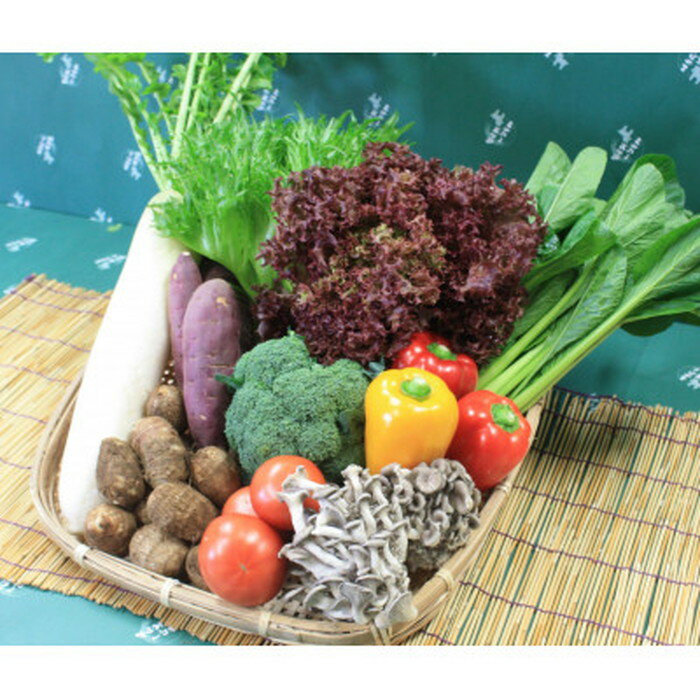 【ふるさと納税】 野菜セット（9～10種）+米3kg ／ 野菜 米 季節の野菜 旬 新鮮 コシヒカリ 精米 白米 自慢の逸品 送料無料 千葉県 No.071 - 画像3