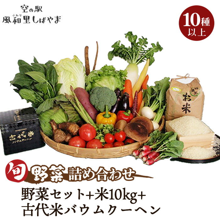 野菜セット10種以上＋米10kg＋古代米バウムクーヘン ／ 野菜 米 季節の野菜 旬 新鮮 コシヒカリ 精米 白米 スイーツ 洋菓子 バームクーヘン 自慢の逸品 送料無料 千葉県 No.074
