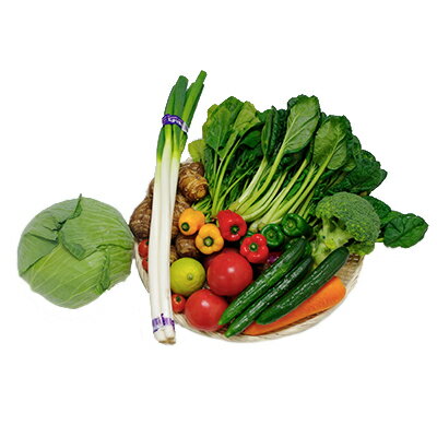 朝採り野菜詰め合わせセット【配送不可地域：離島・北海道・沖縄県・東北・中国・四国・九州】【1010880】