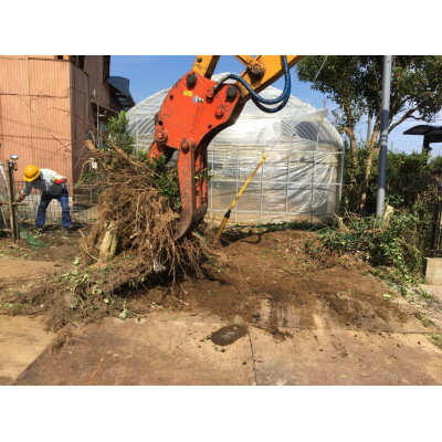 おらいケアプレミアムチケット【1454793】