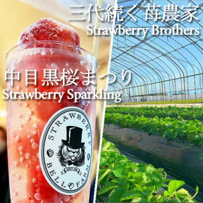 【ふるさと納税】農家直送だから苺本来の美味しさ!BELL FARMの冷凍 いちご500g 収穫当日冷凍の苺【配送不可地域：離島】【1506089】 サムネイル3