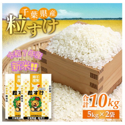 「令和7年産」千葉県産　粒すけ　精米10kg(5kg×2袋)【1584228】
