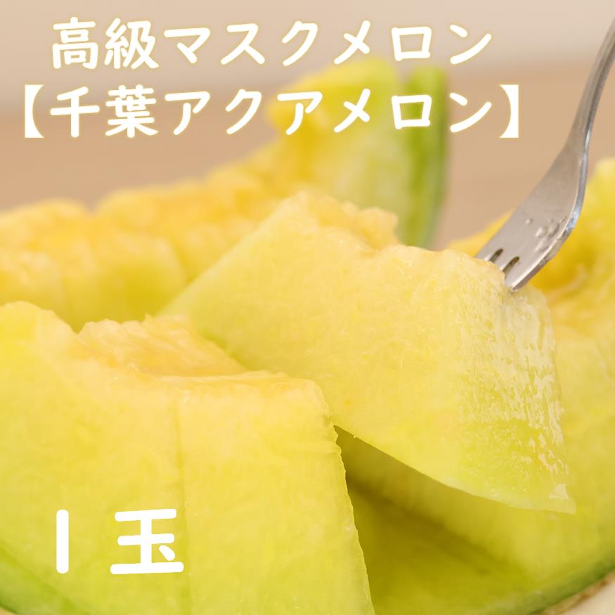 高級マスクメロン　千葉アクアメロン　1玉　2L〜3Lサイズ　千葉県産　化粧箱入り　生産者直送