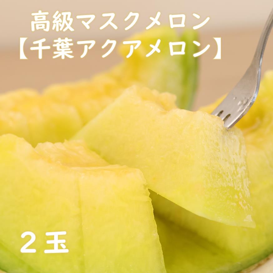 高級マスクメロン　千葉アクアメロン　2玉　2L〜3Lサイズ　千葉県産　化粧箱入り　生産者直送