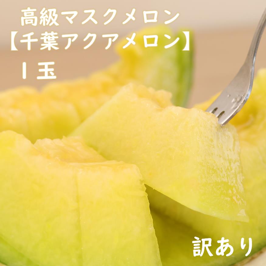 【訳あり】高級マスクメロン　千葉アクアメロン　1玉　2L〜3Lサイズ　千葉県産　化粧箱入り　生産者直送