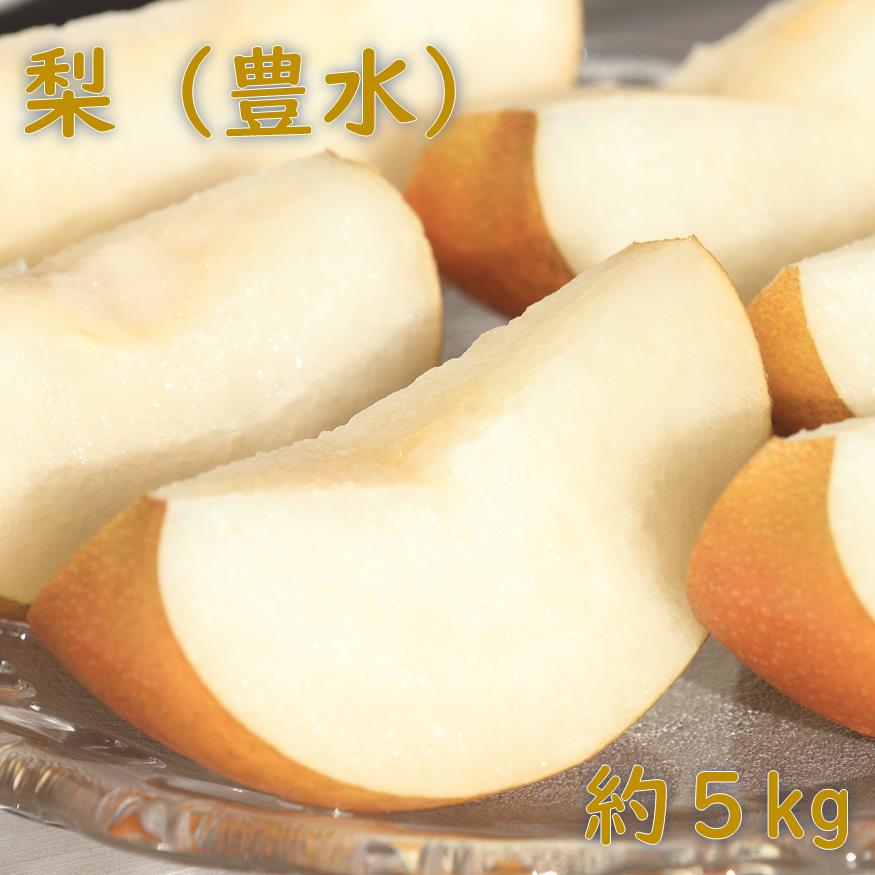 【先行予約】梨（豊水）約5kg　2026年発送分　千葉県産　長生　一宮