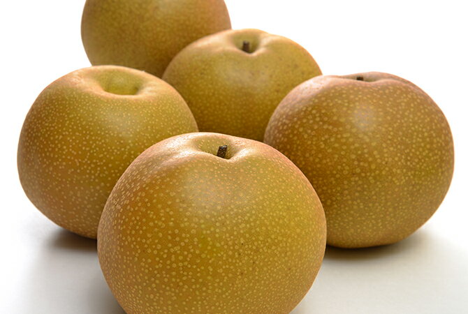 【先行予約】梨（幸水）約5kg　2026年発送分　千葉県産　長生　一宮