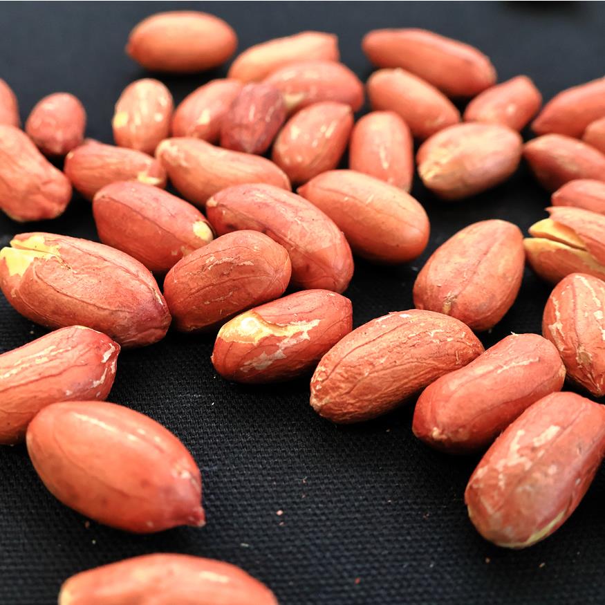 【ふるさと納税】素煎り落花生（千葉県産）　約720g　ピーナッツ　らっかせい - 画像2