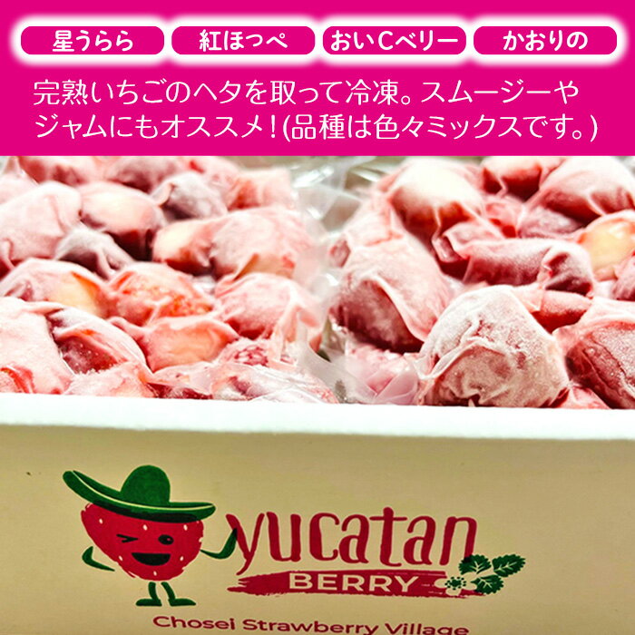 【ふるさと納税】＜先行予約受付中＞長生村産冷凍いちご1kg【2025年3月以降発送】 サムネイル2