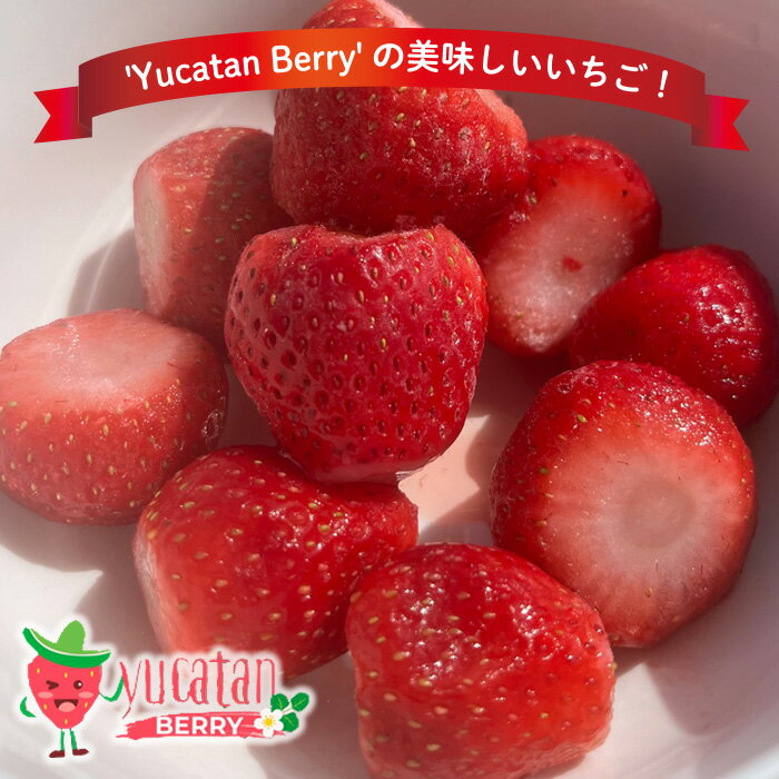 【ふるさと納税】＜先行予約受付中＞長生村産冷凍いちご1kg【2025年3月以降発送】 サムネイル3