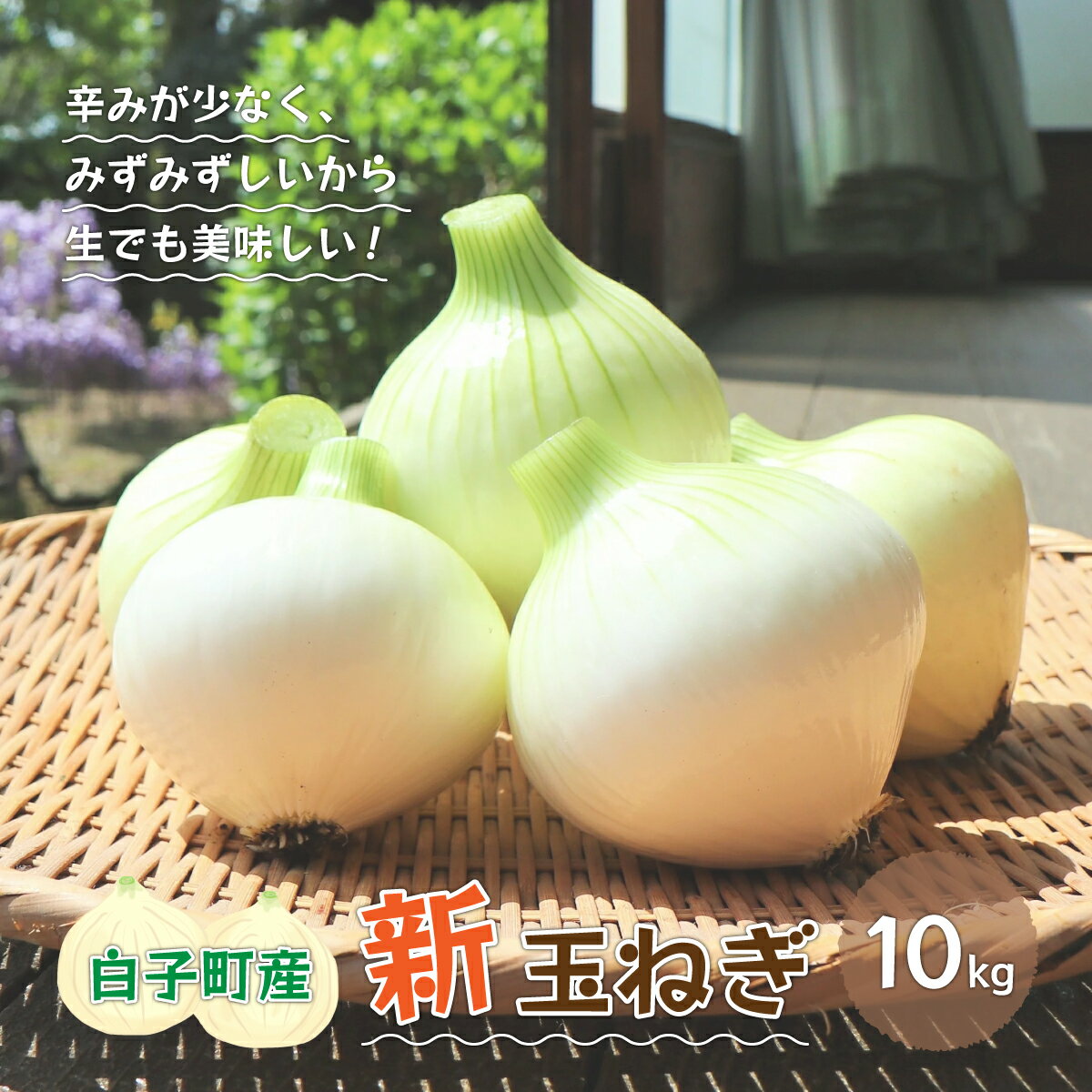 【令和8年の先行予約募集・数量限定】生で食べても美味しい！白子産の新玉ねぎ10kg ふるさと納税 たまねぎ 玉ねぎ 白子玉ねぎ スライス サラダ 健康 味噌汁 数量限定 先行予約 令和8年発送 2026年発送 千葉県 白子町 送料無料 SHK001