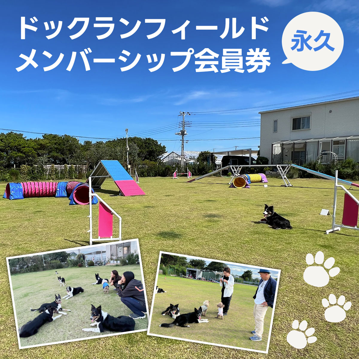 【永久】ドックランフィールド メンバーシップ会員券 ふるさと納税 ドッグスポーツ 利用券 チケット 犬 イヌ いぬ ドッグラン どっぐらん dog sports dog run アジリティー オビディエンス ノーズワーク 千葉県 白子町 送料無料 SHAI004