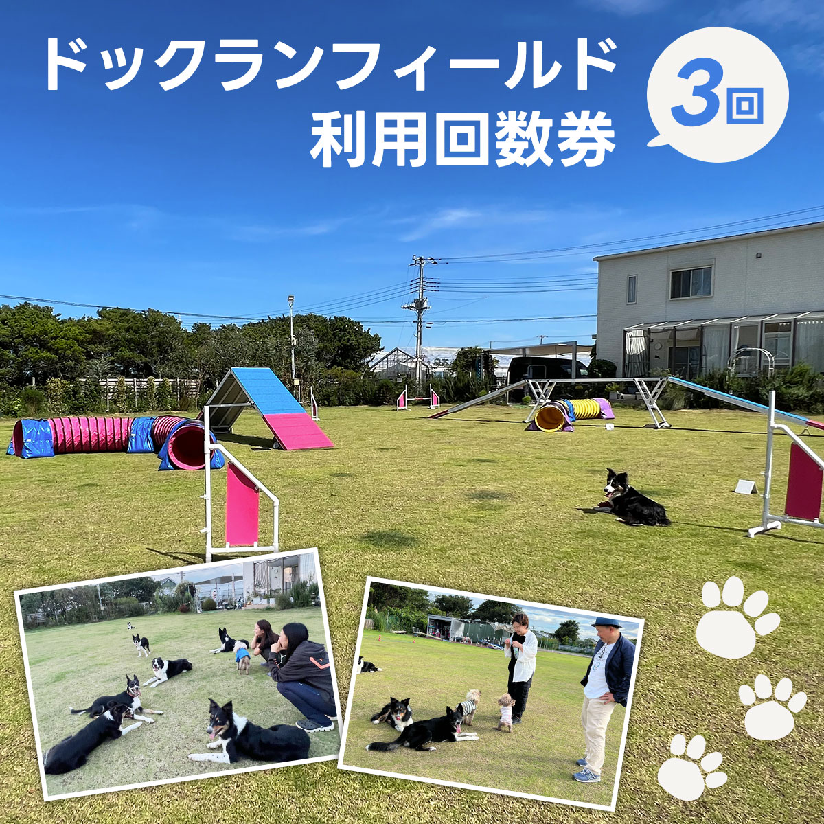 ドックランフィールド利用回数券（3回/1時間×3回） ふるさと納税 ドッグスポーツ 利用券 チケット 犬 イヌ いぬ ドッグラン どっぐらん dog sports dog run アジリティー オビディエンス ノーズワーク 千葉県 白子町 送料無料 SHAI006
