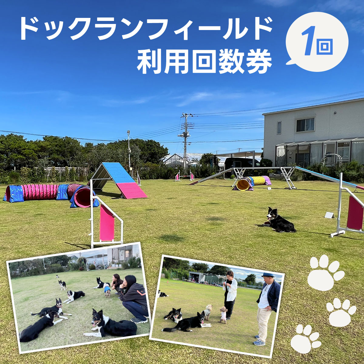 ドックランフィールド利用回数券（1回） ふるさと納税 ドッグスポーツ 利用券 チケット 犬 イヌ いぬ ドッグラン どっぐらん dog sports dog run アジリティー オビディエンス ノーズワーク 千葉県 白子町 送料無料 SHAI005