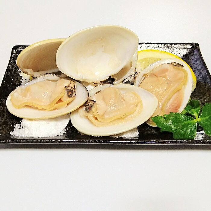 【ふるさと納税】九十九里産 大粒 天然はまぐり1.5kg ふるさと納税 はまぐり 蛤 天然 焼きはま 網焼き 酒蒸し お吸い物 お祝い パエリア 和食 活はまぐり 川喜屋水産 節句 ひな祭り ひなまつり 手土産 送料無料 SHF001 サムネイル3
