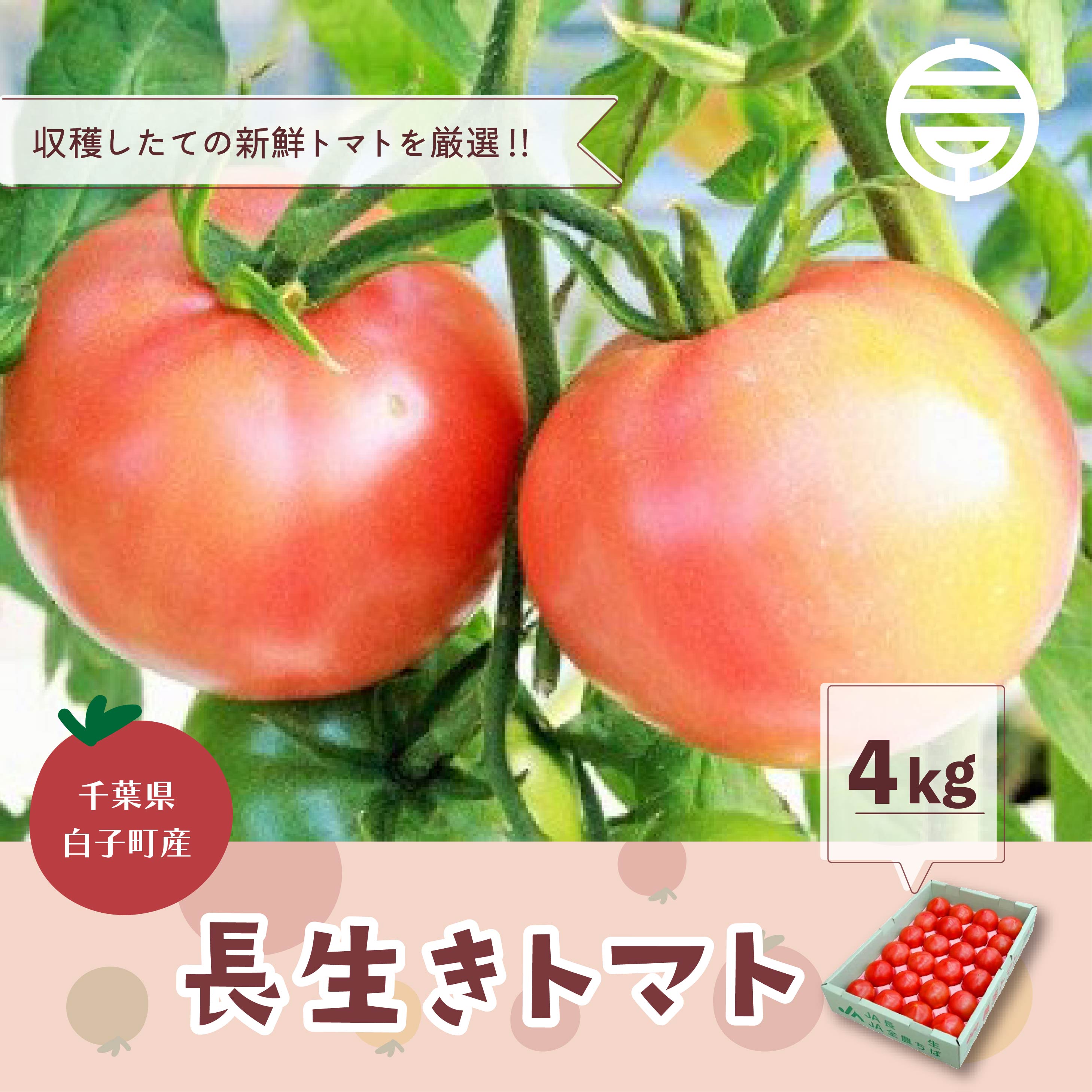 千葉県長生トマト4kg ふるさと納税 トマト リコピン サラダ イタリアン 健康 美容 直売 送料無料 SHK003