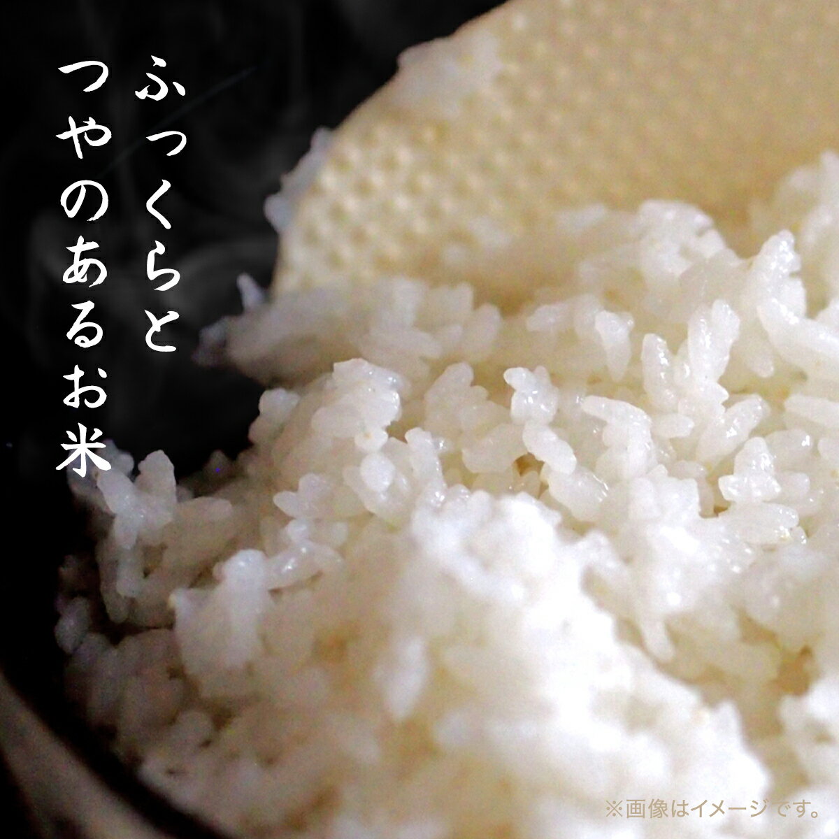 【ふるさと納税】【9月中旬発送開始】令和7年産 千葉県産コシヒカリ「にしむら産の米」5kg(精米) ふるさと納税 コシヒカリ 米 精米 こめ 千葉県 長南町 CNB001 - 画像2