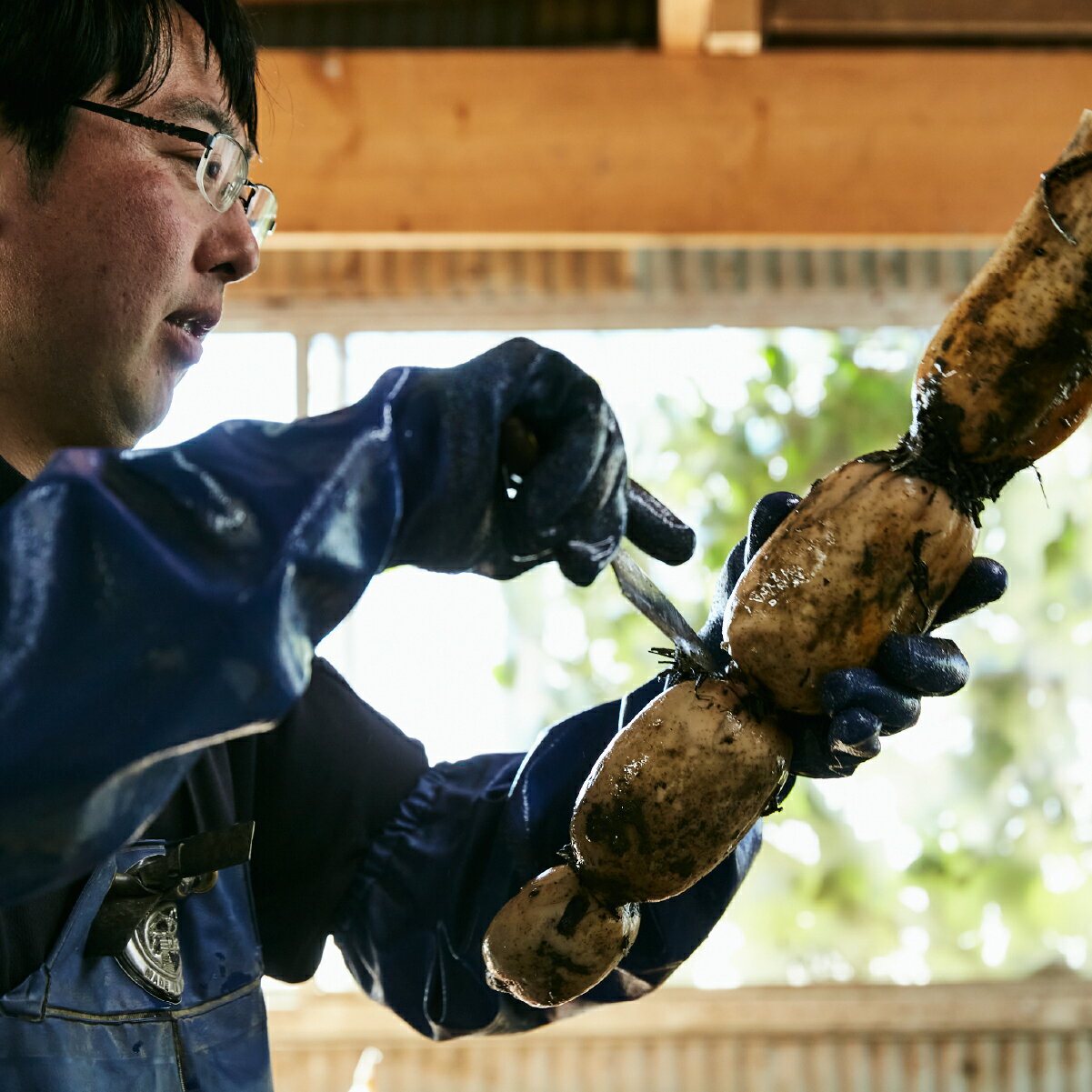 【ふるさと納税】【10月上旬～順次発送】 千葉県産 れんこん真空パック(2kg)自然栽培【金坂蓮魂】ふるさと納税 やさい 野菜 根菜 れんこん レンコン 蓮根 季節 旬 シャキシャキ 金坂蓮魂 かねさかれんこん カネサカレンコン 長南町 千葉県 CNX002 - 画像2