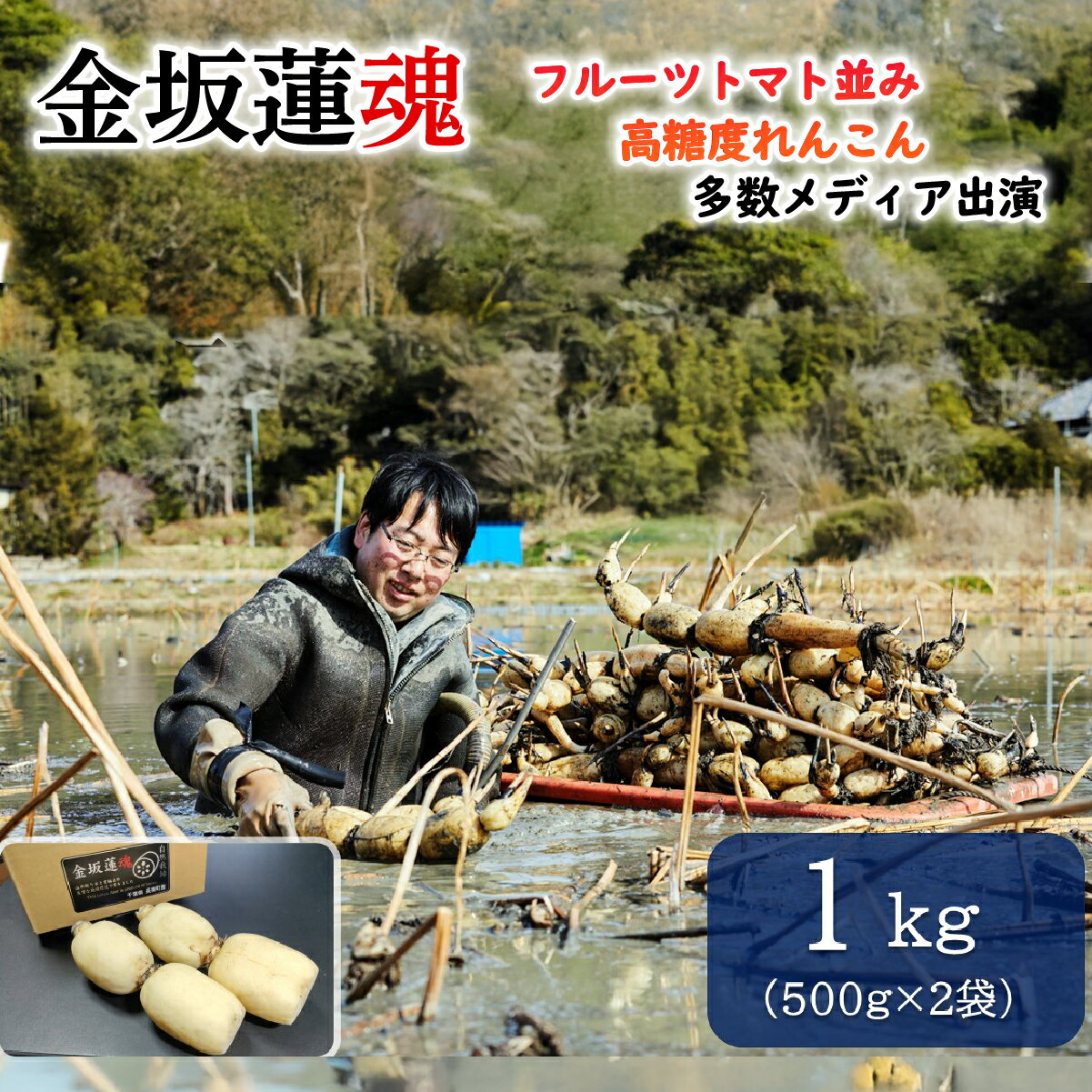 【10月上旬～順次発送】 千葉県産 れんこん真空パック(1kg)自然栽培【金坂蓮魂】ふるさと納税 やさい 野菜 根菜 れんこん レンコン 蓮根 季節 旬 シャキシャキ 金坂蓮魂 かねさかれんこん カネサカレンコン 長南町 千葉県 CNX001