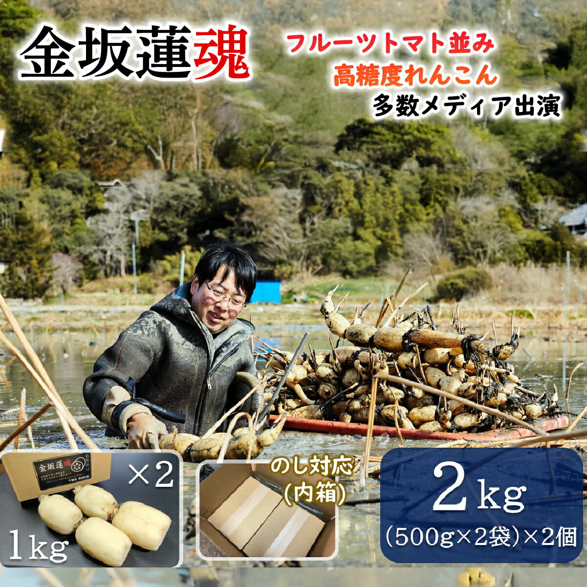 【10月上旬～順次発送】 千葉県産 れんこん真空パック(2kg)自然栽培【金坂蓮魂】ふるさと納税 やさい 野菜 根菜 れんこん レンコン 蓮根 季節 旬 シャキシャキ 金坂蓮魂 かねさかれんこん カネサカレンコン 長南町 千葉県 CNX002