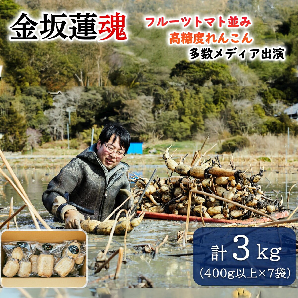 【10月上旬～順次発送】千葉県産 れんこん真空パック×7袋(計3kg)自然栽培【金坂蓮魂】ふるさと納税 やさい 野菜 根菜 れんこん レンコン 蓮根 季節 旬 シャキシャキ 金坂蓮魂 かねさかれんこん カネサカレンコン 長南町 千葉県 CNX004