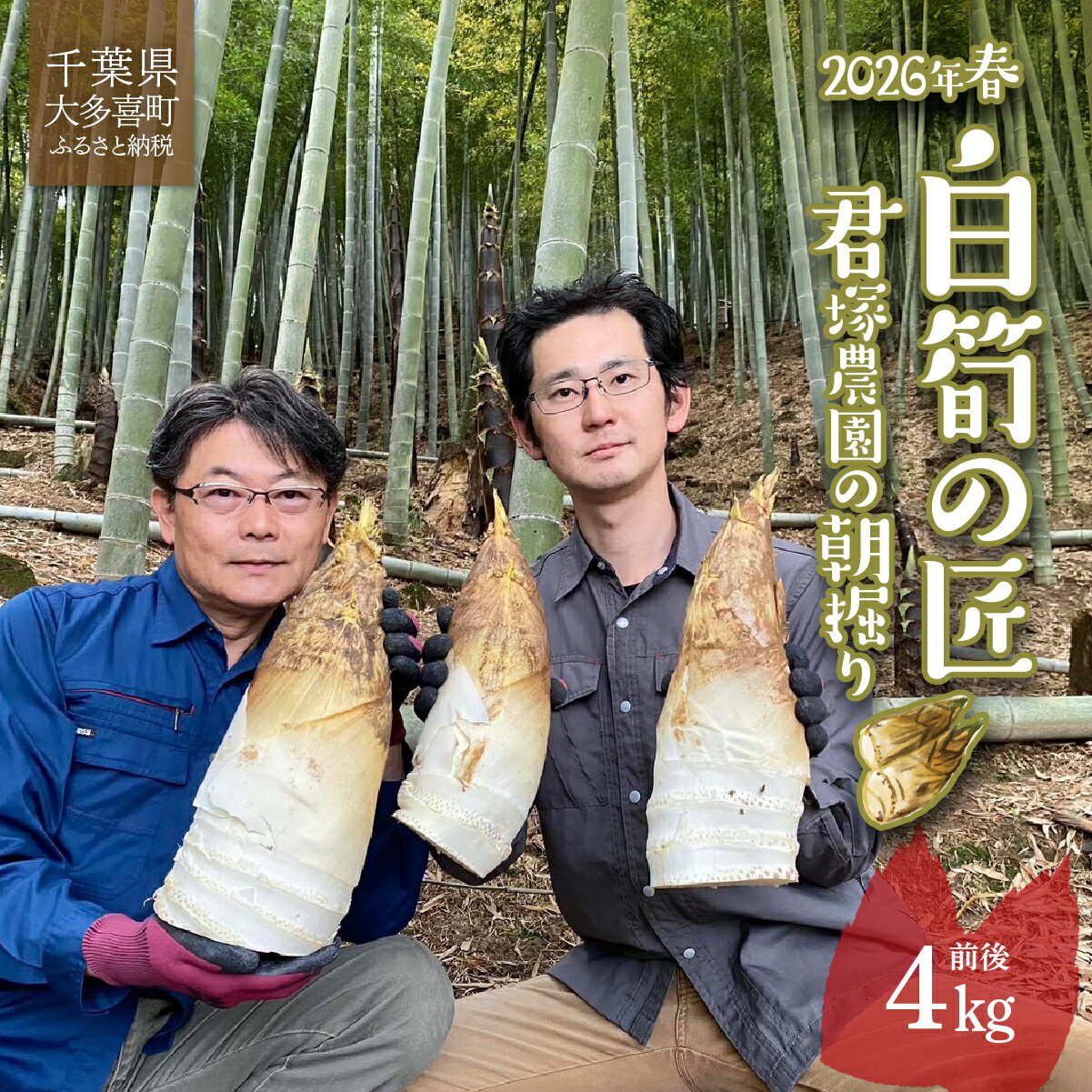 2026年春　白筍の匠　君塚農園の朝掘り　W05401