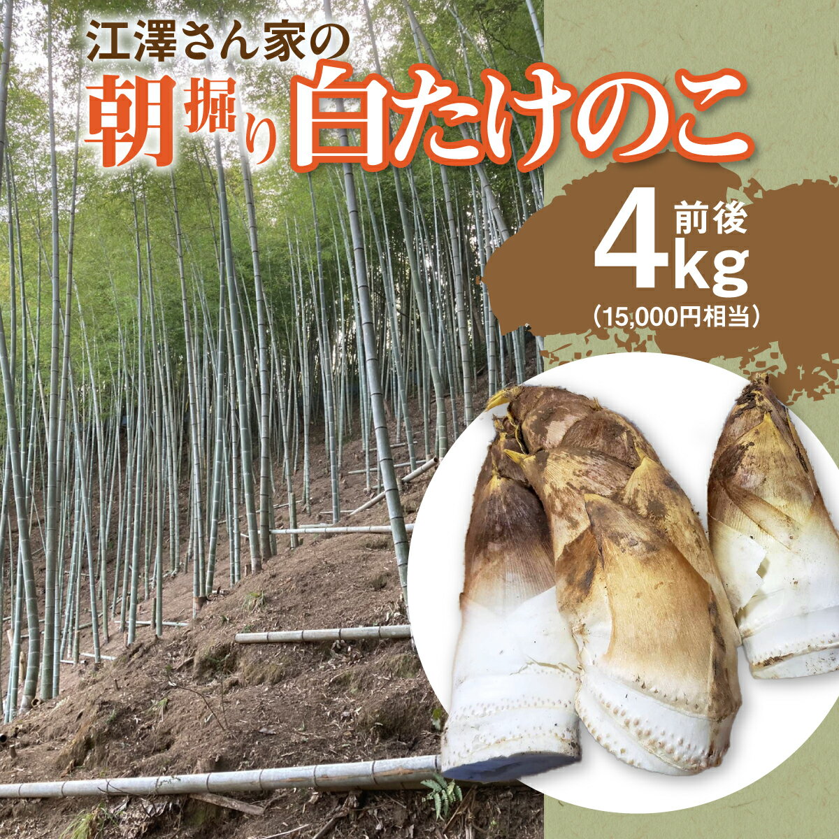 江澤さん家の朝掘り白たけのこ　W05402