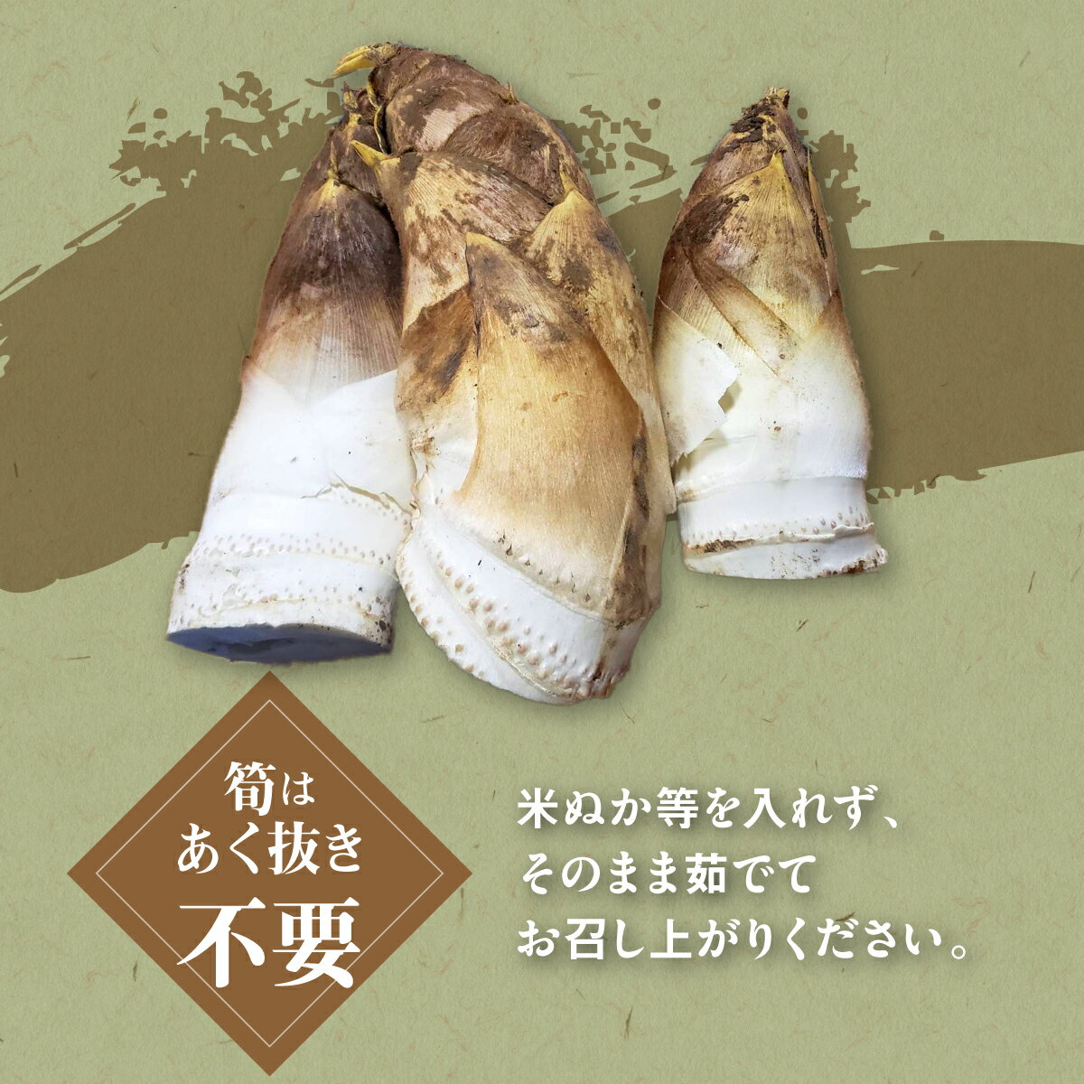 【ふるさと納税】江澤さん家の朝掘り白たけのこ　W05402 - 画像3