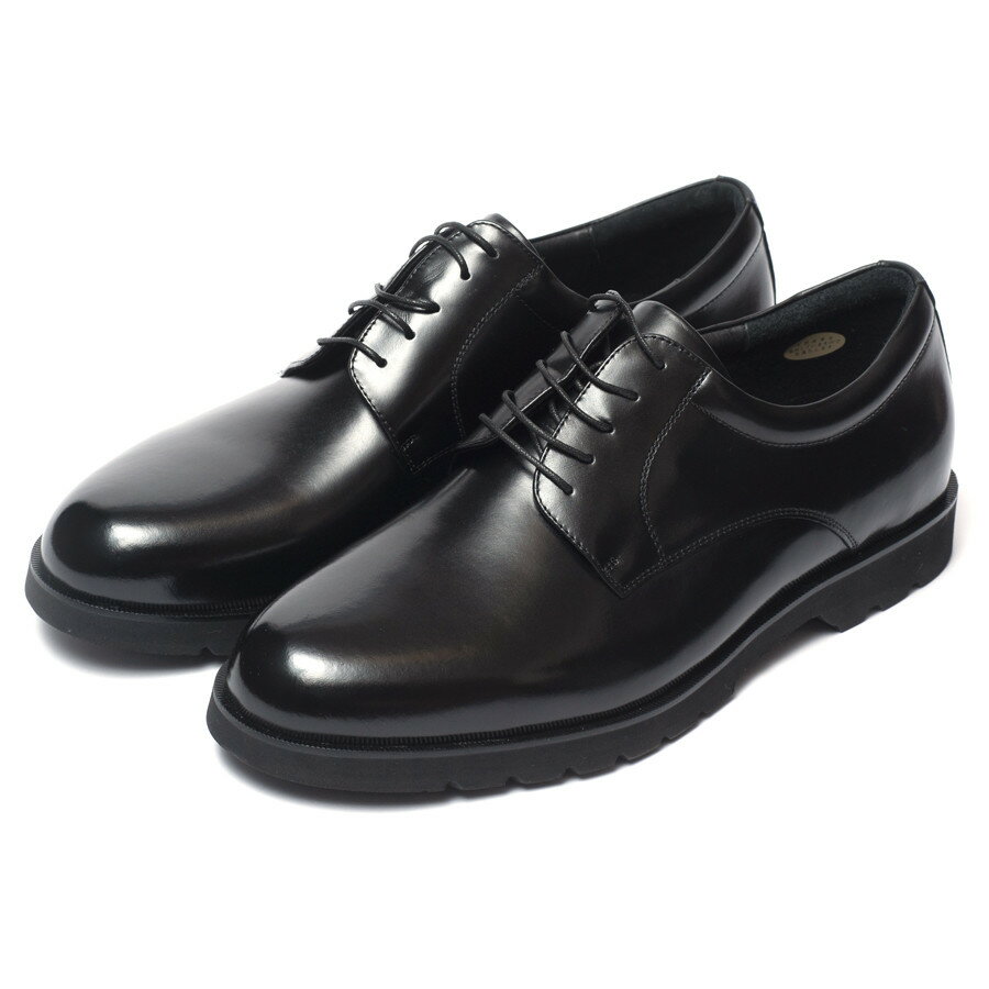 【ふるさと納税】【匠の靴】超軽量 幅広6E本革ビジネスシューズTT-24S 軽量 超軽量 革靴 プレーントゥ 外羽根 撥水加工 天然皮革 日本製 サムネイル2