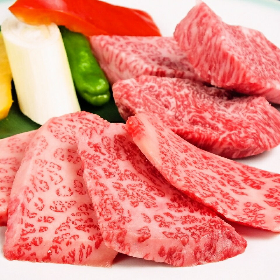 【ふるさと納税】【焼肉上野太昌園】＜選べるコース＞太昌園コースチケット(ペア)＜飲み放題なし＞[満喫コース / プレミアムコース] 焼肉 コース料理 ペア お食事券 お食事チケット 食事券 ペアチケット コースチケット チケット - 画像3